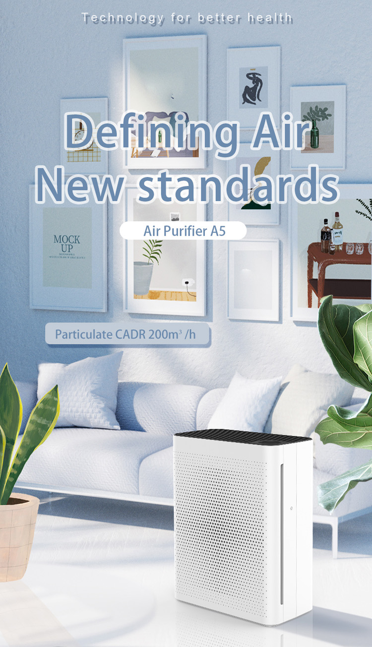 air cleaner for home