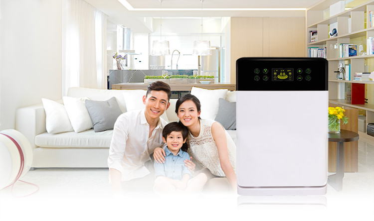 air purifier for smoke