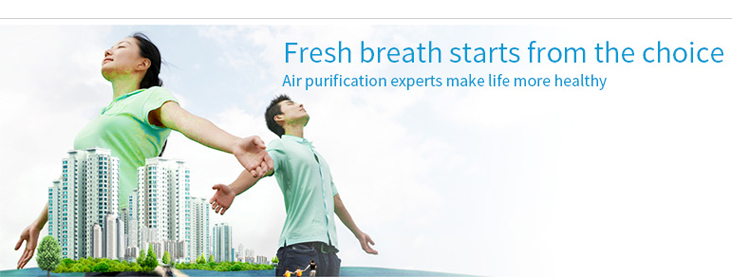 air purifier for smoke