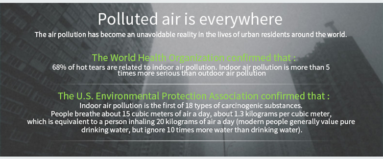 oem air purifier