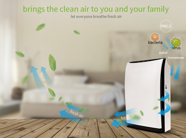 oem air purifier