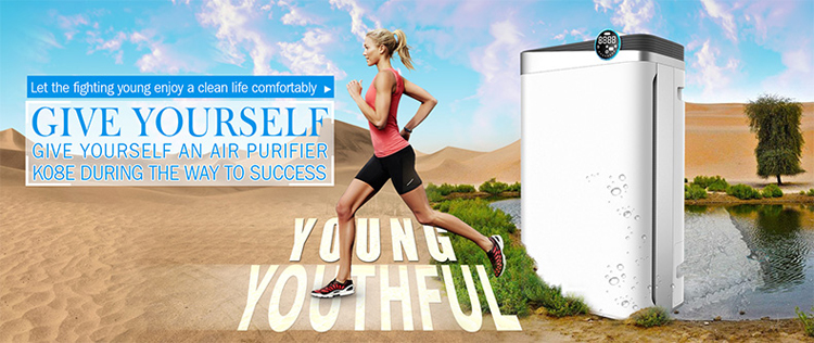 negative ion purification