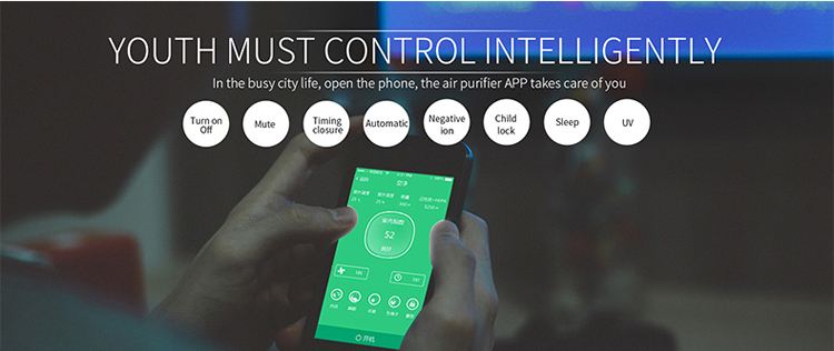 negative ion purification