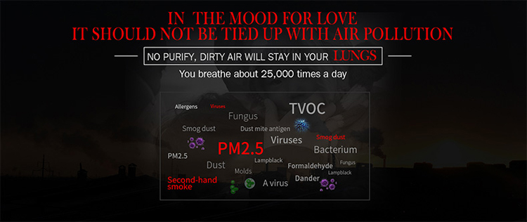 negative ion purification