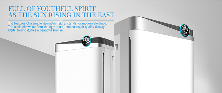 negative ion purification