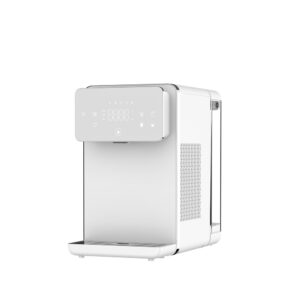 Experience Refreshing Hydration with an RO Ice Water Drinking Machine